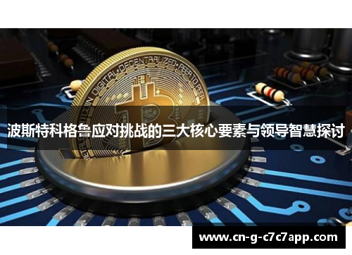 波斯特科格鲁应对挑战的三大核心要素与领导智慧探讨