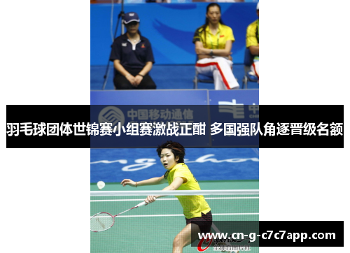 羽毛球团体世锦赛小组赛激战正酣 多国强队角逐晋级名额