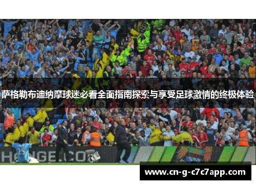 萨格勒布迪纳摩球迷必看全面指南探索与享受足球激情的终极体验