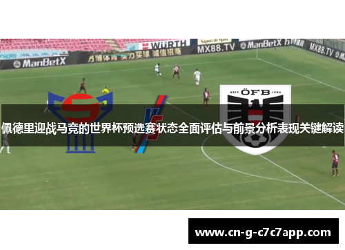 佩德里迎战马竞的世界杯预选赛状态全面评估与前景分析表现关键解读